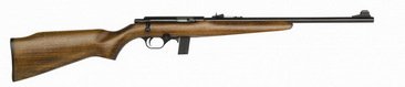  Mossberg M802 22LR 18" Wood
