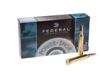 Патрон нарізний Federal Power-Shok 300 Win Mag JSP 9,7 г (150GR)