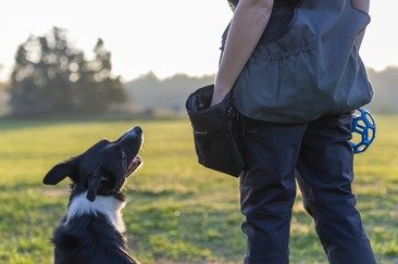 СУМКА PINEWOOD® DOG-SPORTS BAG SMALL