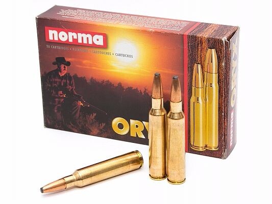 Патрон Norma к.375 Blaser Mag Oryx 13 г (300 Gr)
